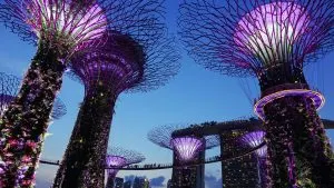 The exquisite Garden by the Bay in Singapore. 