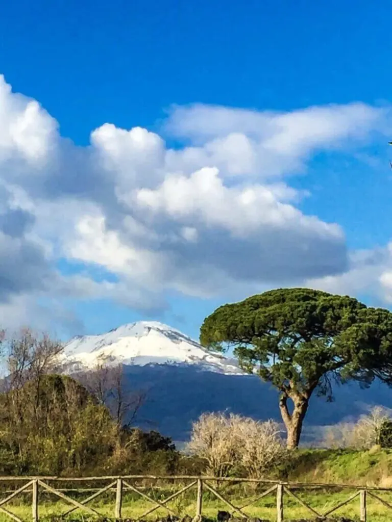 Nature view at Mt. Vesuvius