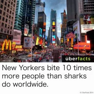 New York City Memes