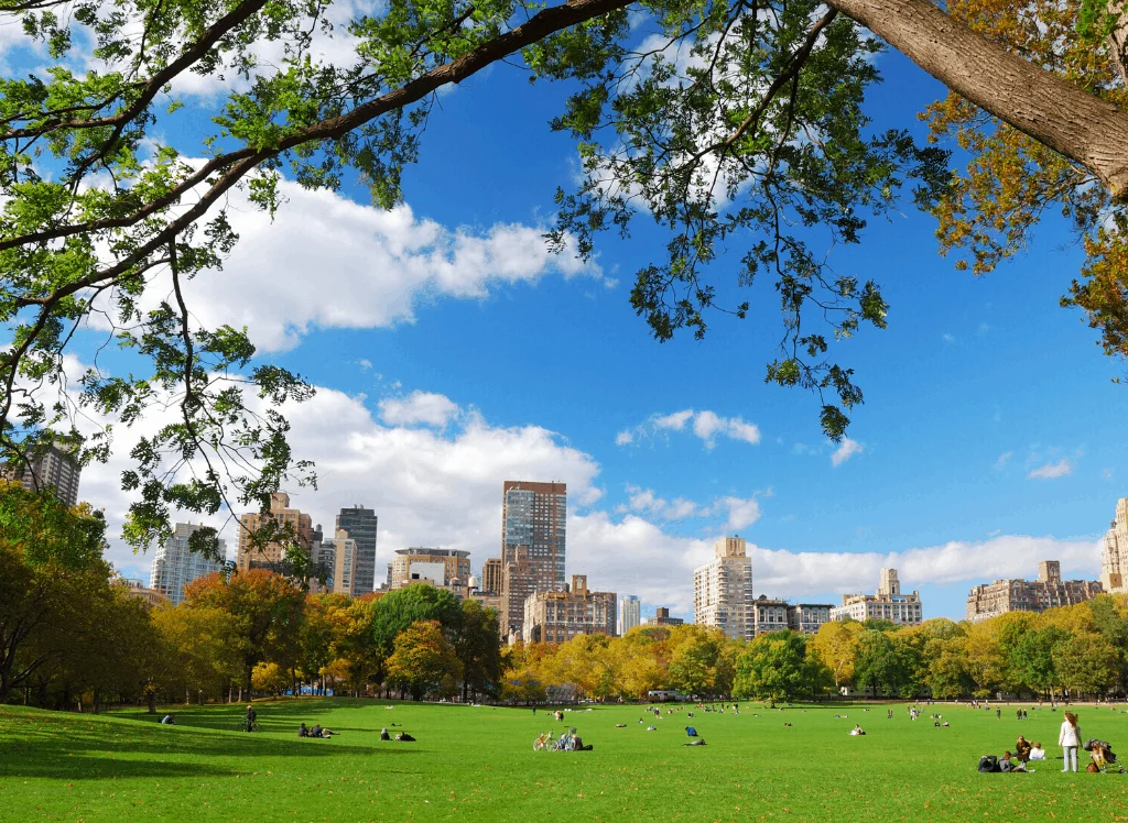 A beautiful view of the NYC skyline from Sheep's Meadow in Central Park.
