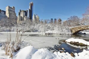 Winter really is a magical time to visit New York City. 