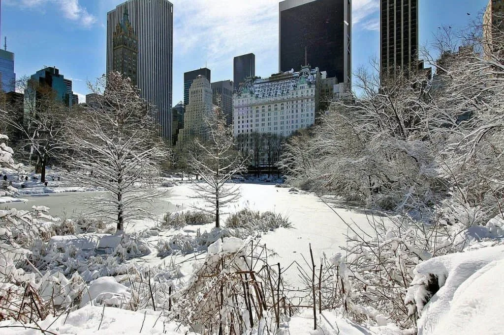 New York City is one of my favorite places to spend winter.