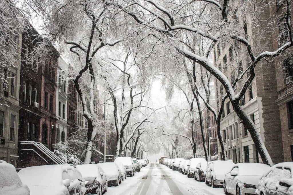 Sometimes in New York City, you feel like you're walking through a winter wonderland. 