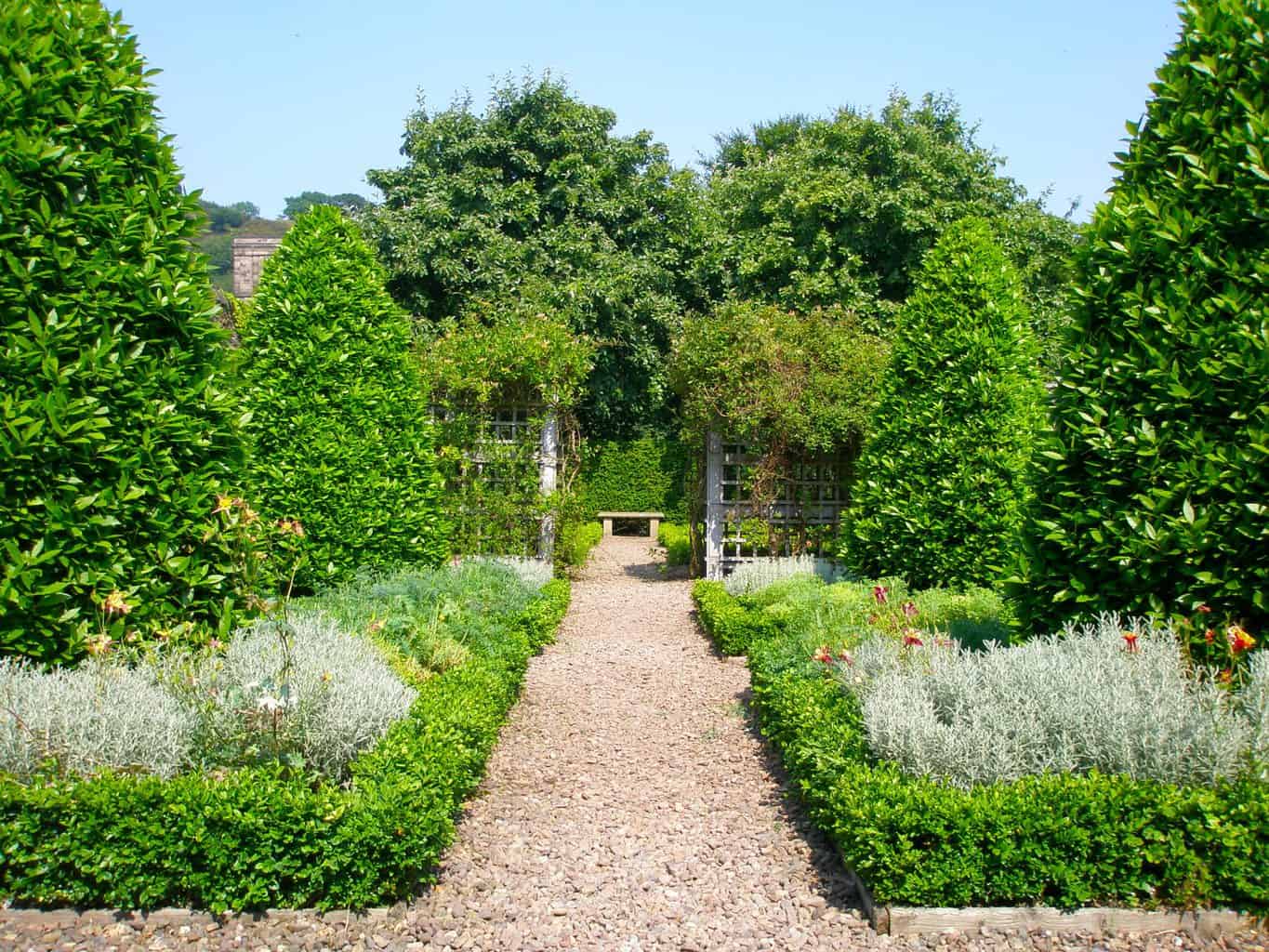 The vibrant greenery and gravel pathways of the garden at Dunbar's Close. 