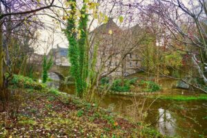 Some of the amazing views you'll see as you stroll along the Water of Leith Walkway. 