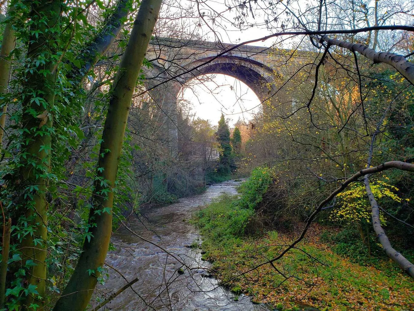 The scenic natural and beautiful bridges you'll find along the Water of Leith Walkway.