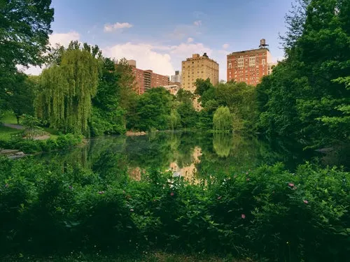 AKA Central Park is an exquisite hotel that gives you amazing views of Central Park.