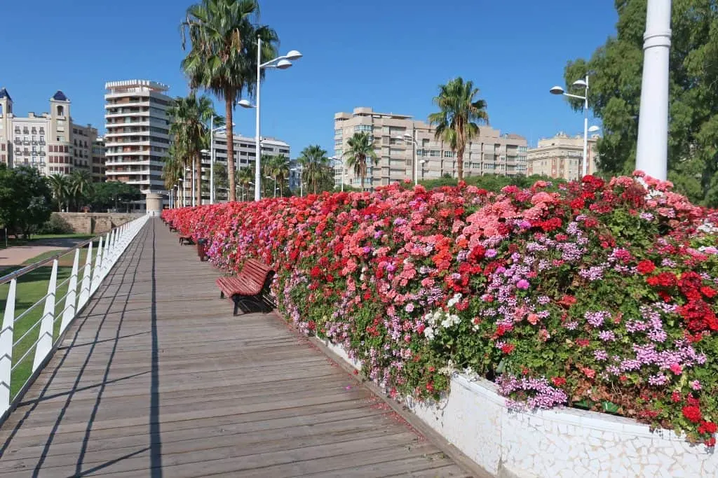 The floral beauty fo Valencia throughout the Spring.