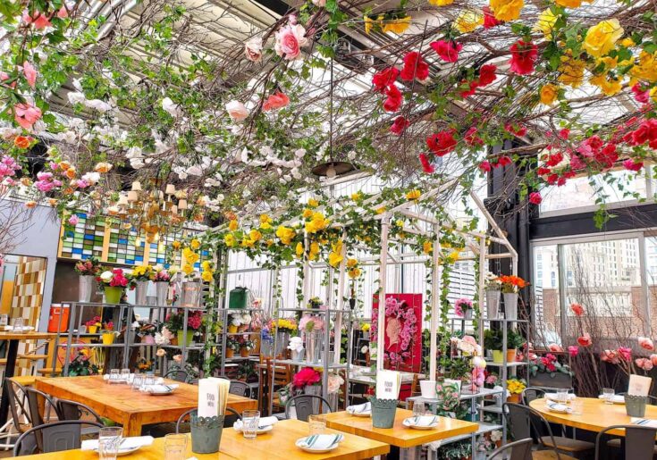 31 Things to do in NYC for Your Birthday + Local Tips 2024