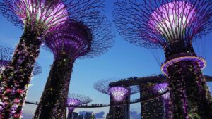The vibrant, purple hues of Singapore's Garden by the Bay at night time.