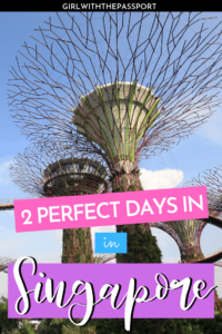 Planning some Singapore travel but not sure where to start? Then check out this 2 days in Singapore itinerary. It's the perfect combination of local hidden gems and classic tourist attractions like Clarke Quay, the Gardens by the Bay, the Singapore Botanical Gardens, Little India, Chinatown, and more! So, check out this Singapore itinerary and start planning the perfect trip today! #SingaporeItinerary #TravelSingapore #VisitSingapore #SingaporeGuide