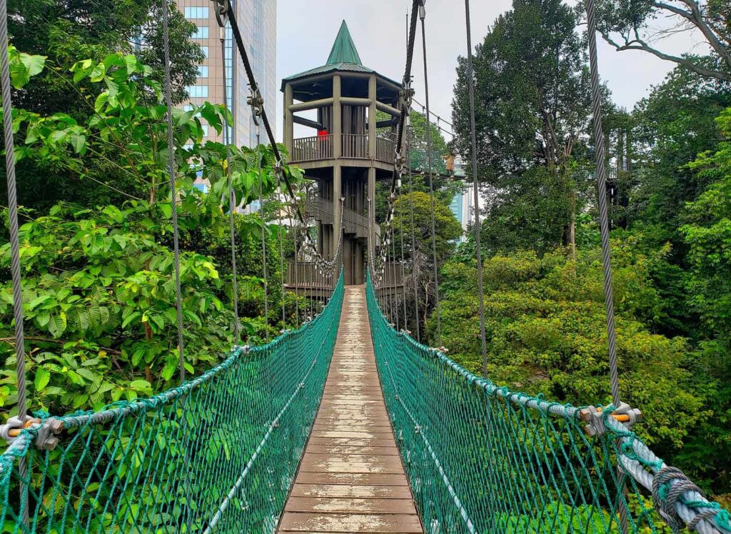 The beautiful canopy walk that you'll find within the KL Forest Eco Park.