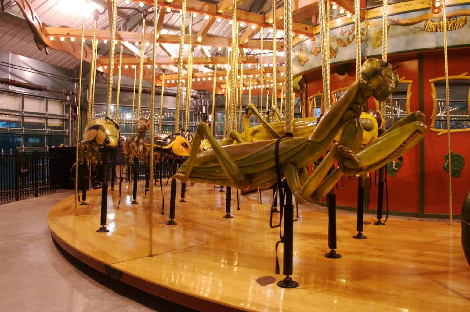 Hop on Bronx Zoo's signature bug carousel and enjoy one of the most unusual things to do in NYC.