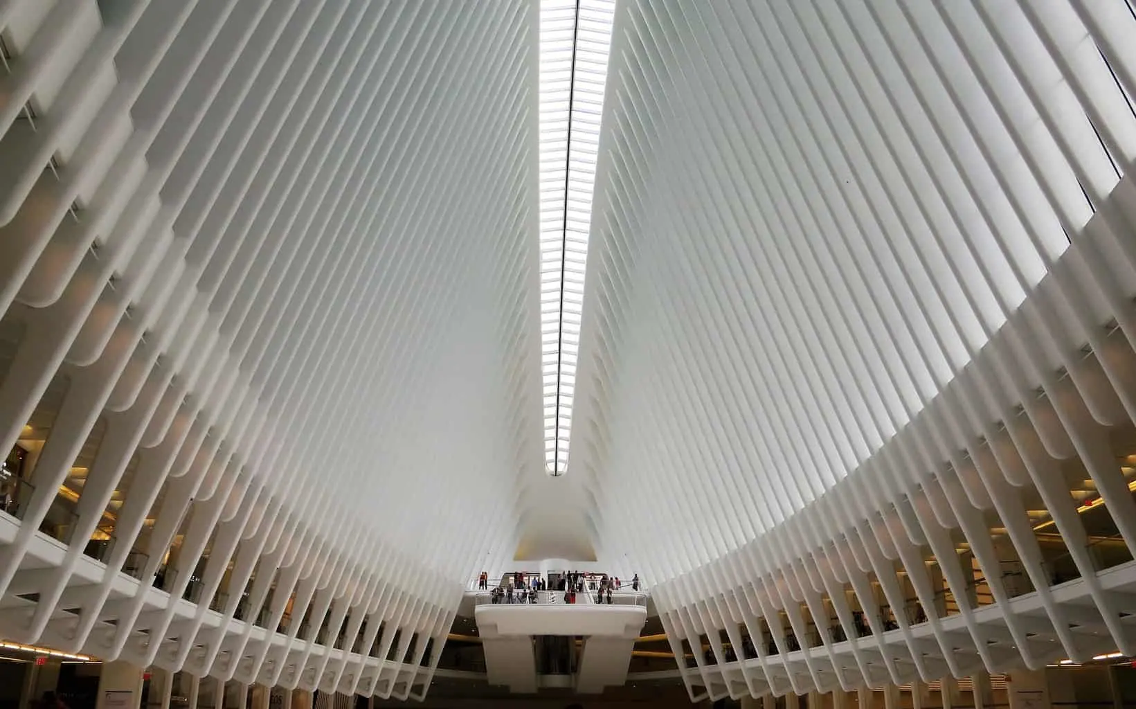 The beautiful modern architecture of the Oculus.