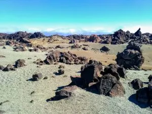 The dynamic, natural landscape of Tenerife in the Canary Islands.