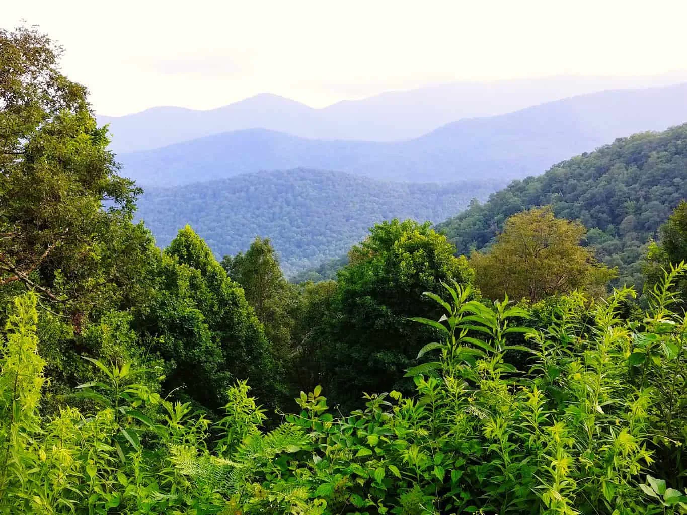 Some of the stunning views that you'll enjoy while hiking around Asheville, North Caroline