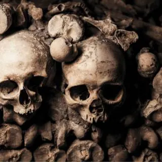 Skulls in the Paris catacombs that you can see during one of the best ghost tours in Paris.