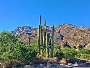 The amazing, natural landscape that you'll discover while hiking along the Treasure Loop Trail through the Superstition Mountains near Pheonix, Arizona.