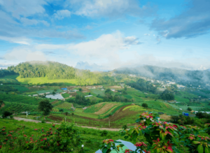 After all that hiking and playing with elephants during your 3 day Chiang Mai itinerary, why not spend the night at one of these amazing hotels or hostels?