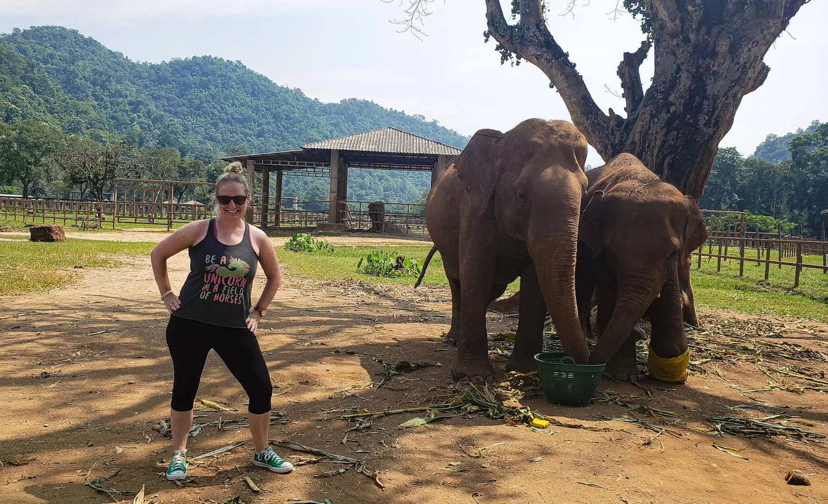 Hanging out with some of my favorite Elephant friends at Elephant Nature Park in Chiang Mai, Thailand.