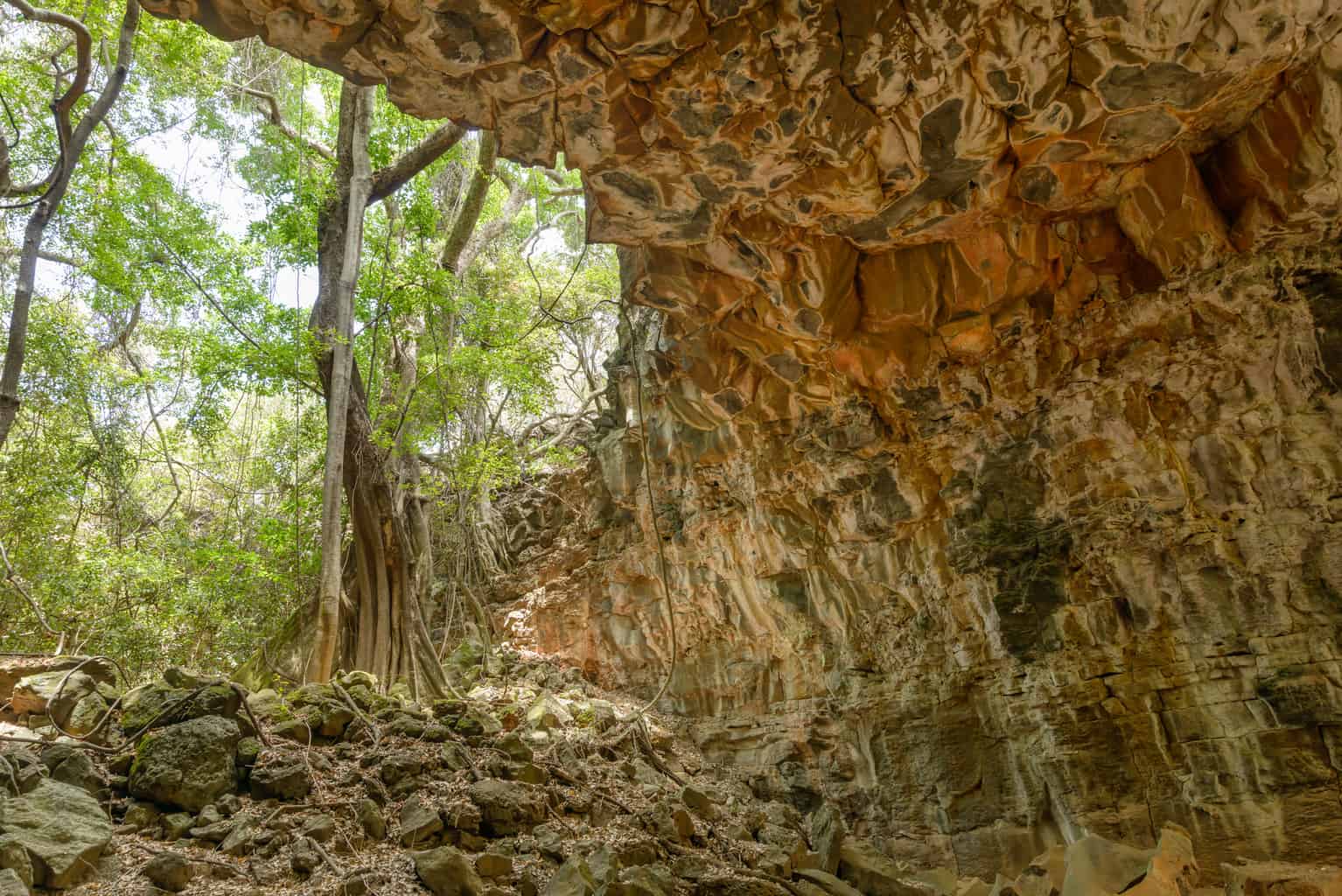  The entrance to the Undara Lava Tubes in Undara Volcanic National Park in North Queensland Australia. 