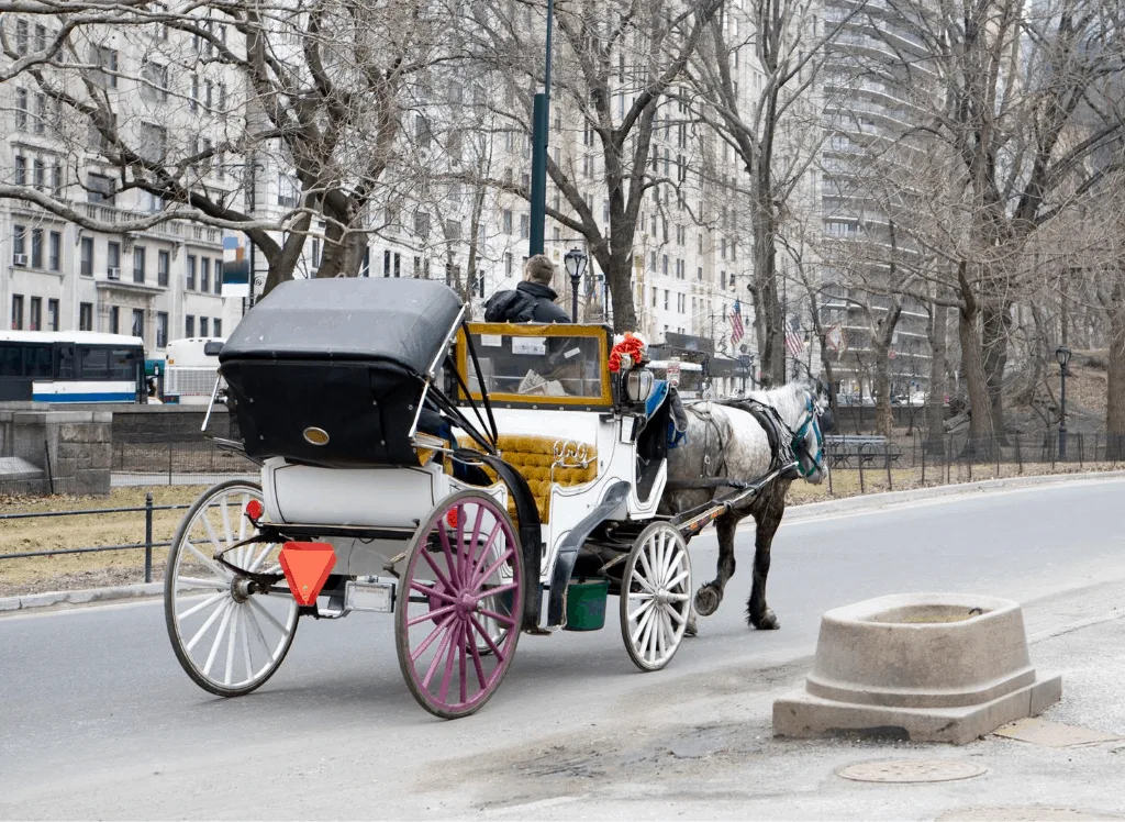 Take a charming, horse-drawn carriage ride through Central Park.