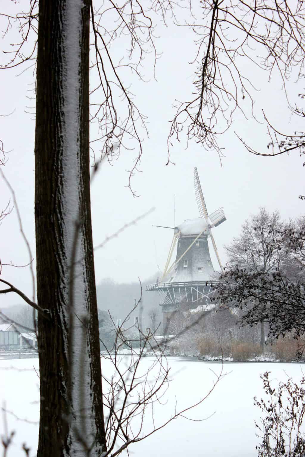 Snow falling on a windmill in beautiful Rotterdam, the Netherlands. 