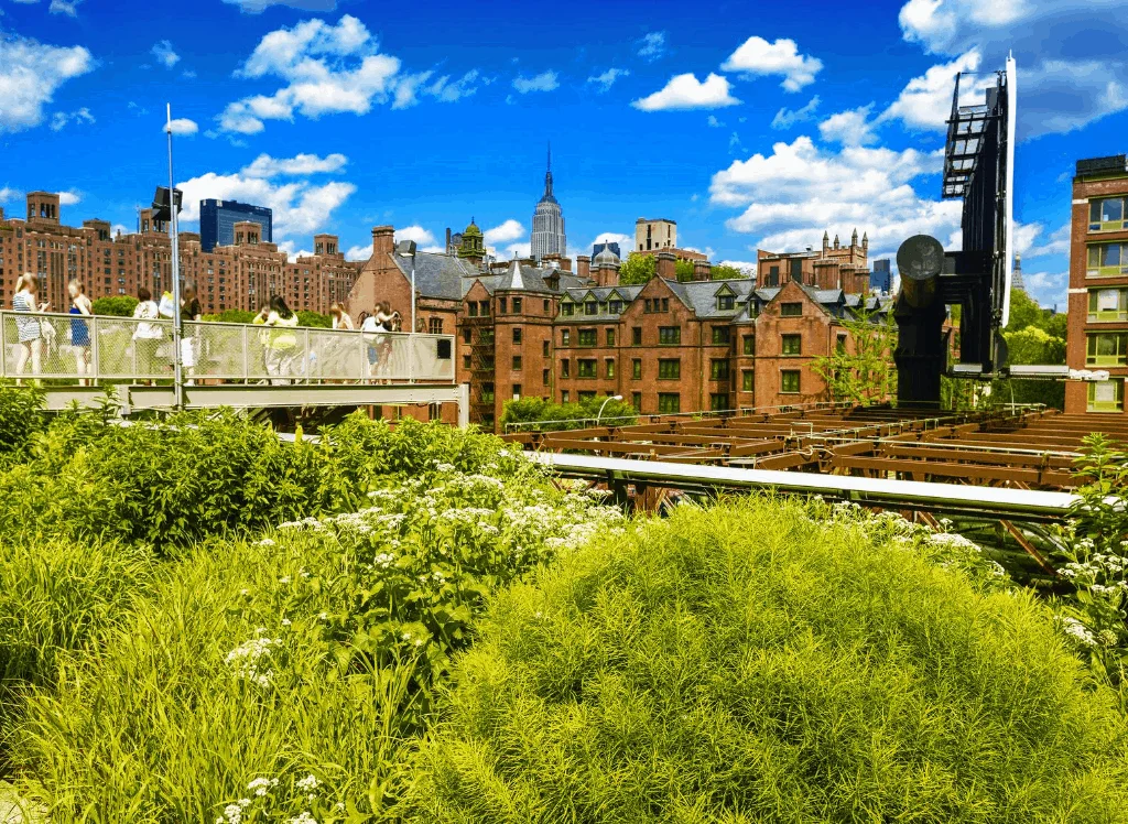 Views from NYC's famous Highline - one of the best free things to do in NYC. 