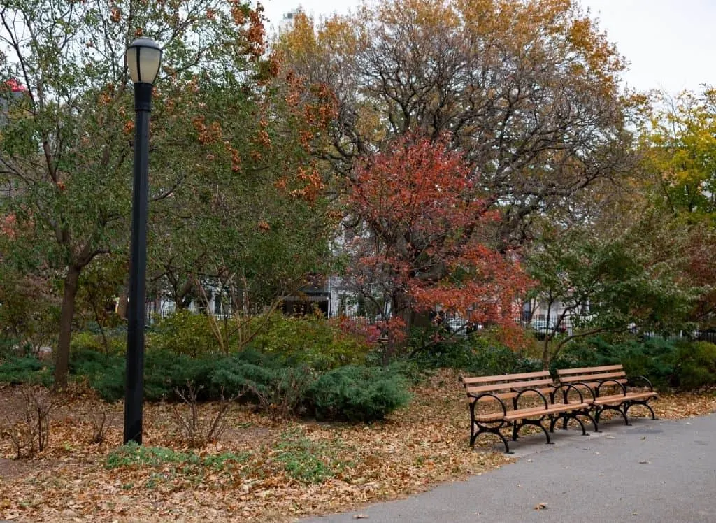 Benches, a street lamp, and fall foliage in McCarren Park in Brooklyn. 