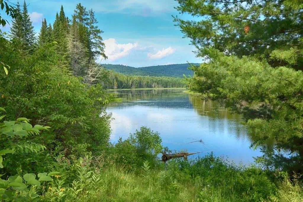 Some of the beautiful lakes and forests in Northern Maine which is where some of the best scenic drives in Maine take you.