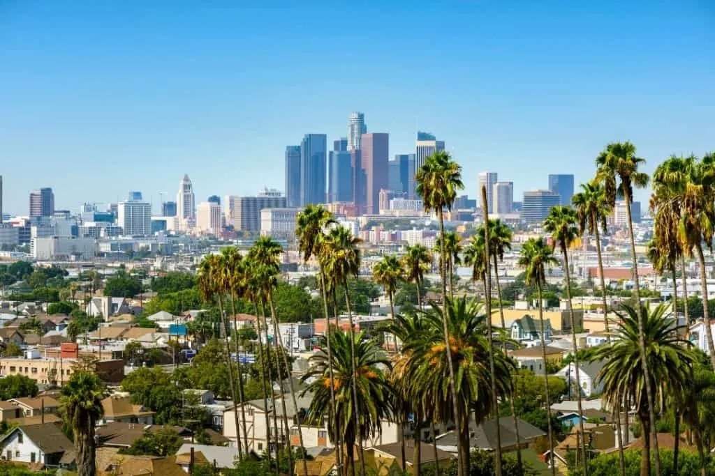 An aerial view of Los Angeles and he many palm trees there. 