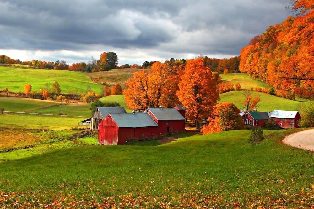 Fall foliage surrounding Jenne Farm in Vermont. 