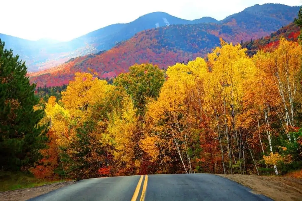 Fall foliage along a road through the Adirondacks in NY. 
