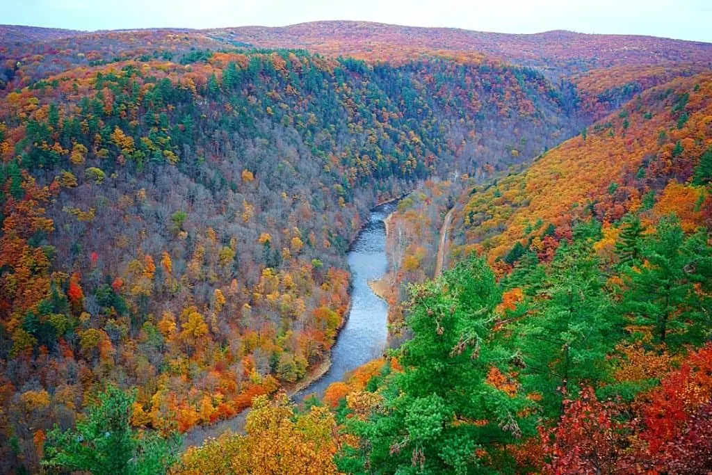 A river runs through Allegany State Park with mountains full of fall foliage on either side.