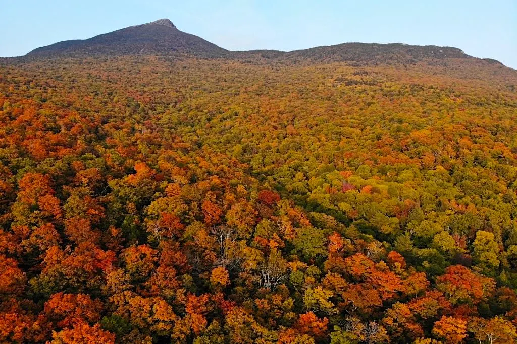 Camel's Hump is a mountain in Vermont that is loaded with stunning fall foliage