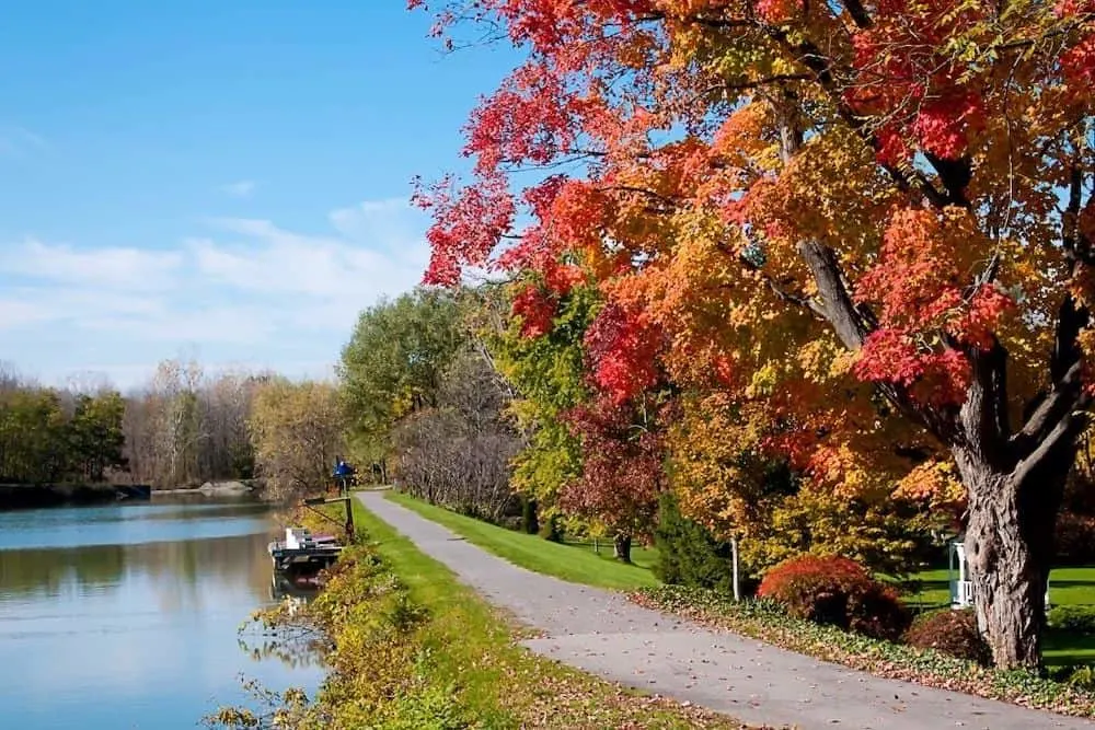 New York fall foliage on a path along the Erie Canal. 