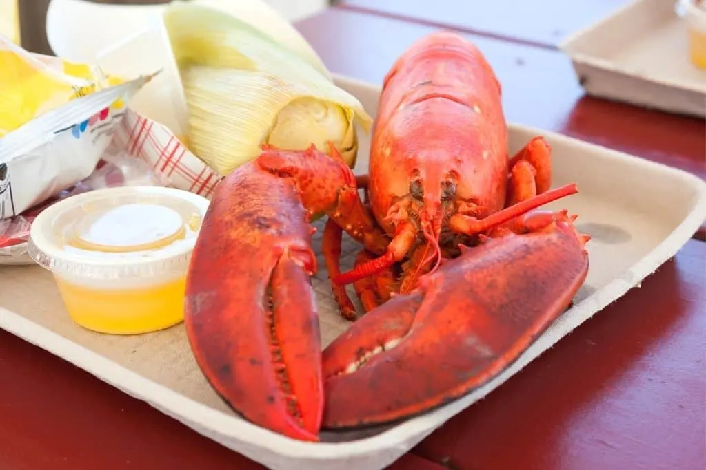 Maine steamed lobster on a cardboard tray with melted butter, chips, and corn. 