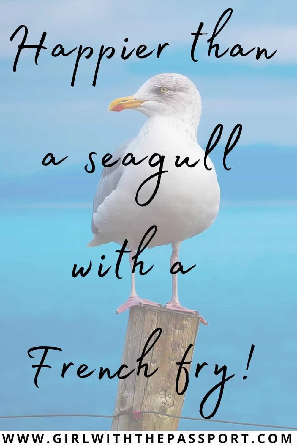 Best Sea Puns and Funny Sea Quotes