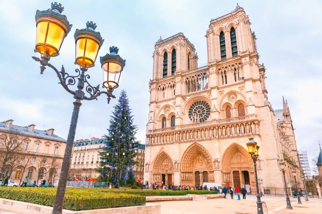 View of Motre Dame with a Christmas tree out front during your one day in Paris itinerary. 