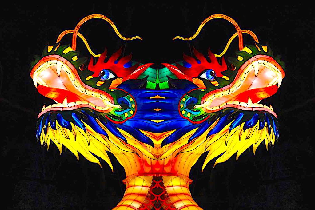 Dragon lanterns from the NYC winter lantern festival in Queens. 