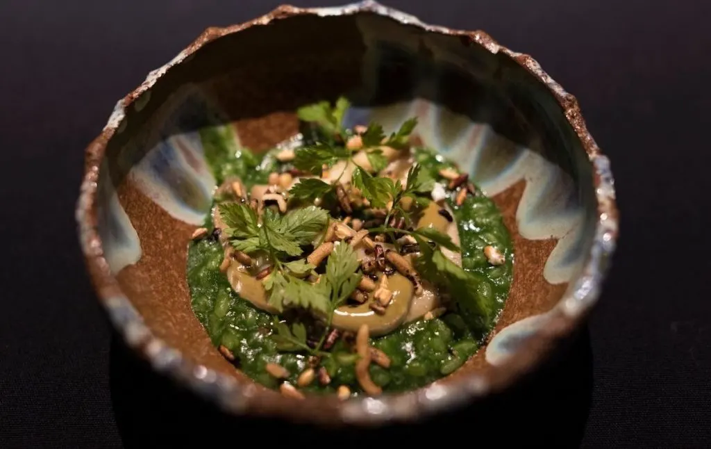 Refined mushrooms in a bowl at Dirt candy, one of the most unusual restaurants in NYC. 
