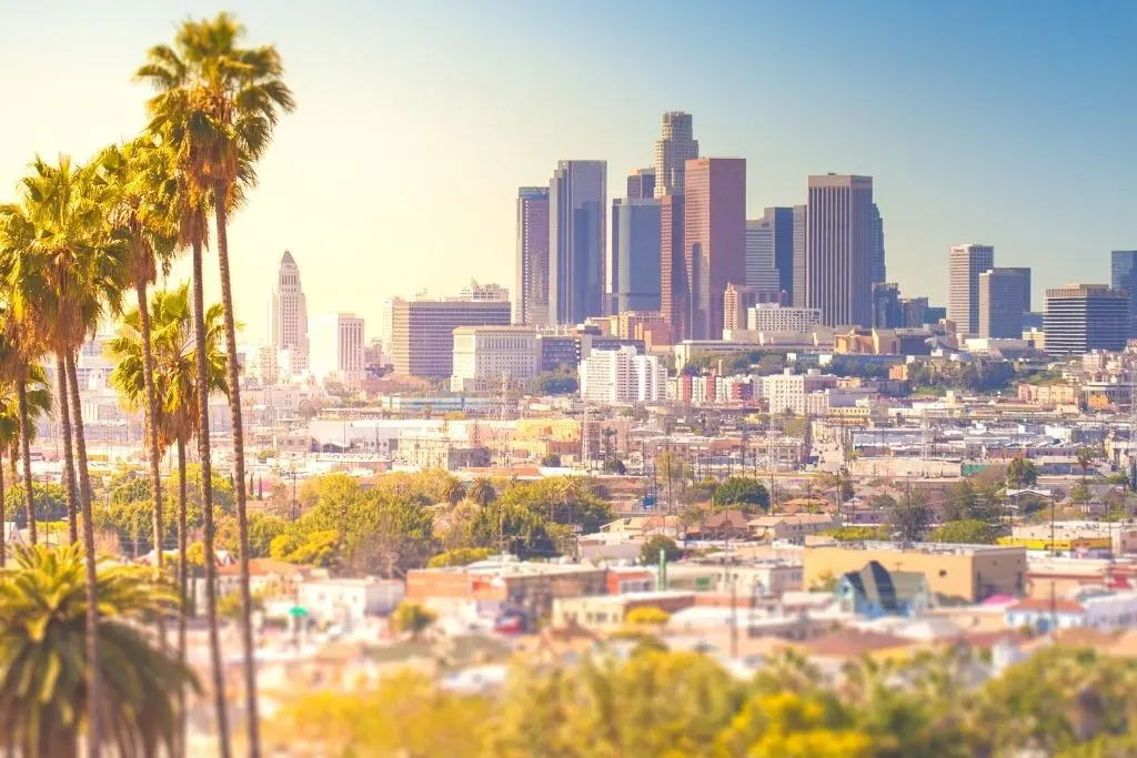 Palm trees and Los Angeles skyline