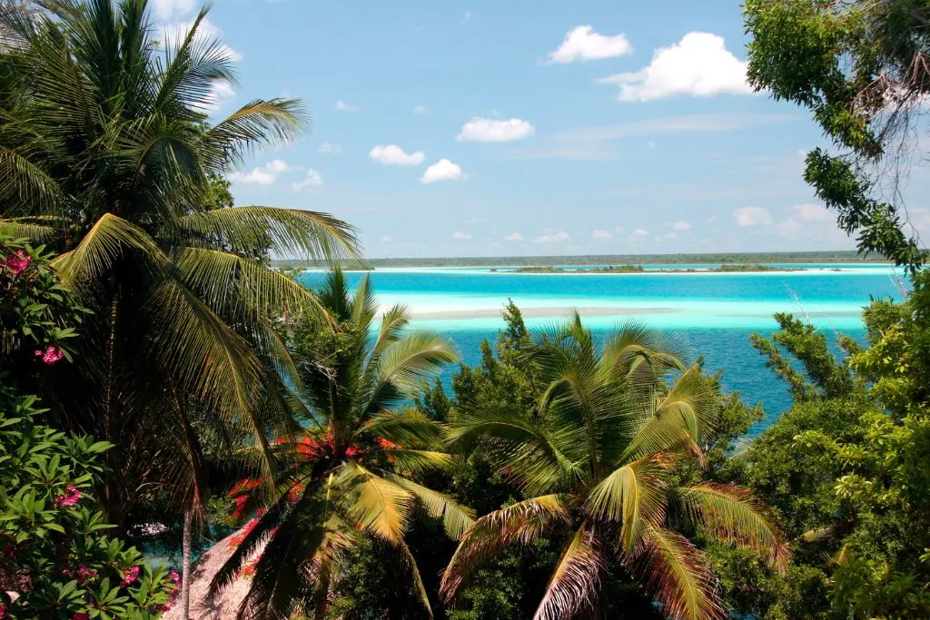 View of the turquoise blue water of Laguna Bacalar as it is surrounded by plant life. 