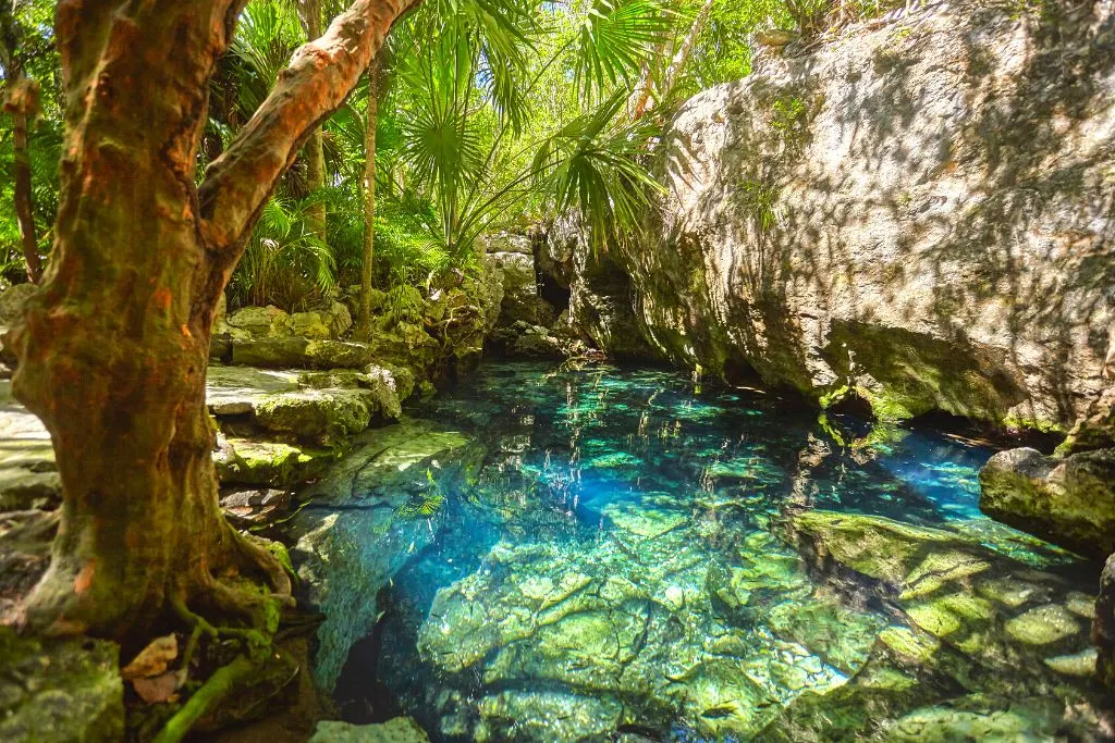 View of the crystal blue waters of Cenote Azul which is one of the best cenotes near Playa del Carmen. 