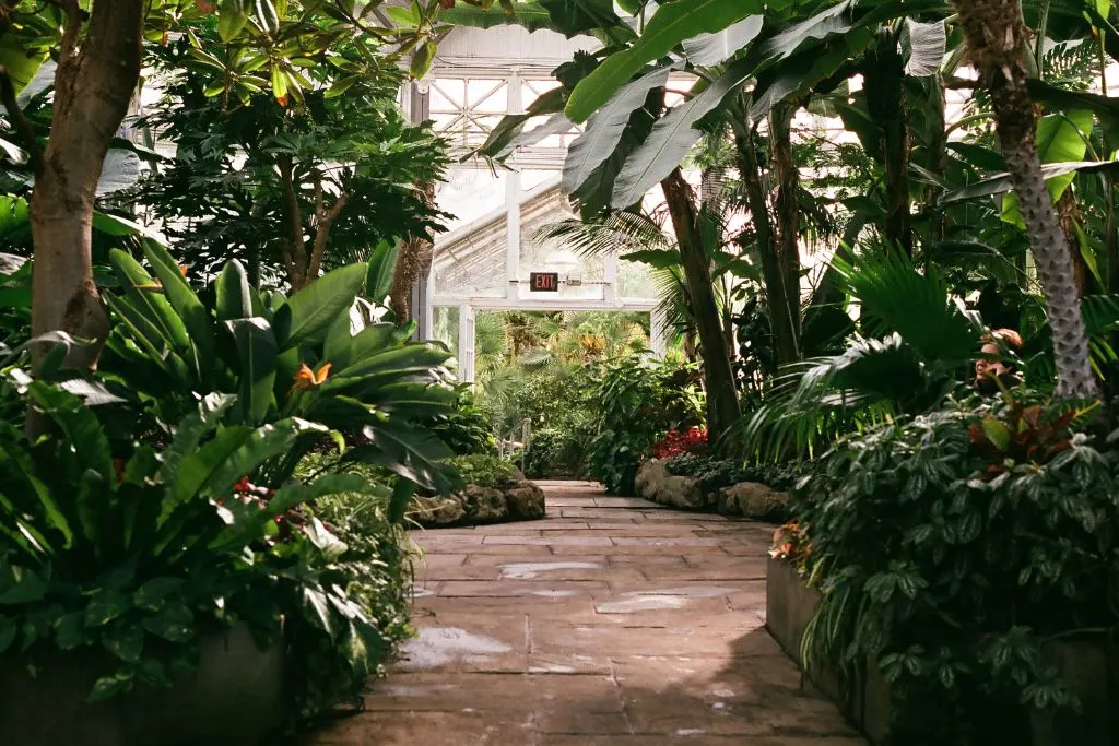 View of the beautiful white greenhouse and amazing gardens in Allan Gardens in Toronto. 