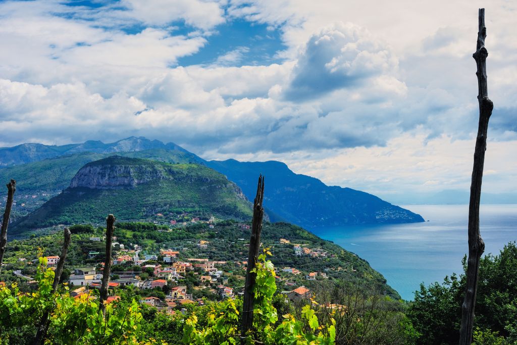 View from a farm along the Amalfi Coast. 
