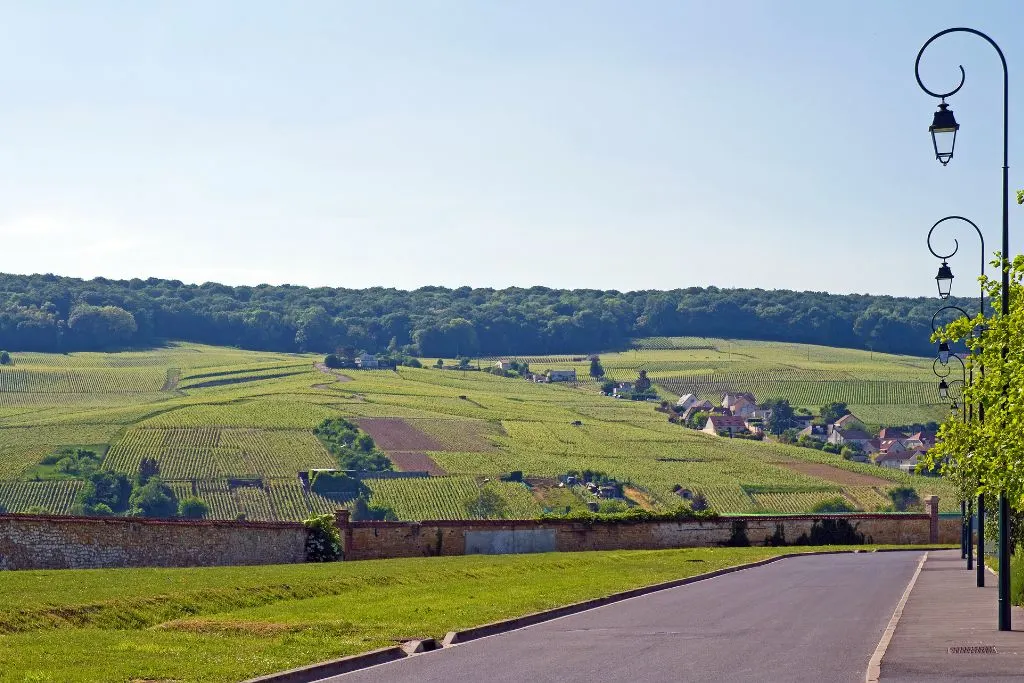 Standing on the paved road you can see charming, old-world style street lamps on the right and the vast green vineyards of Epernay, France in the background. You can see a few houses and a large wall by the road. 