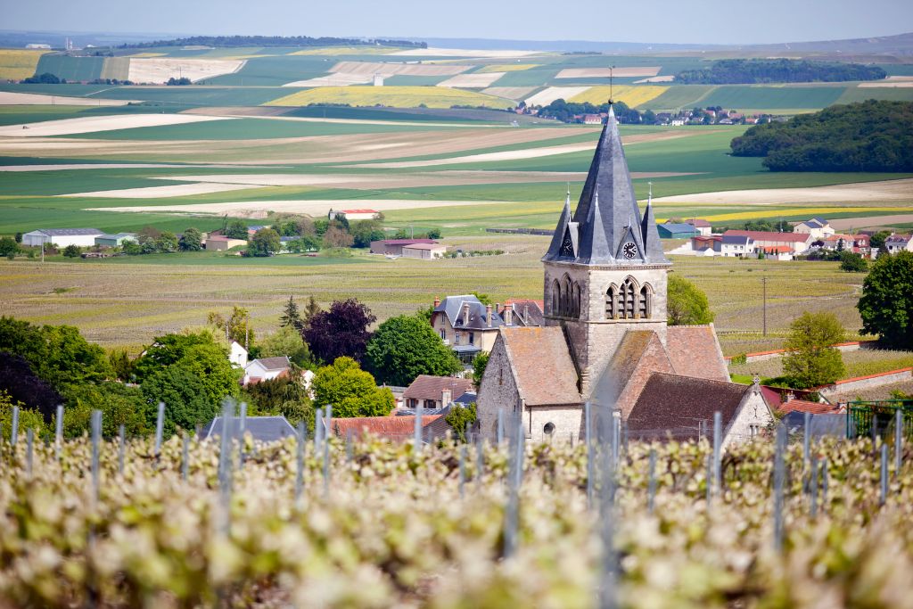 View of Champagne vineyards in the foreground with the stunning, almost church-like like Ville Domange in the mid ground sitting above the beautiful fields of Champagne France. 