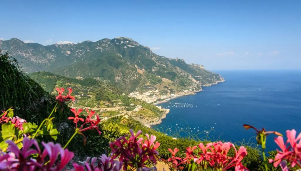 A view of the Amalfi Coast from Ravello with pink flowers in the foreground and surrounding the views of the mountains and the blue water. 