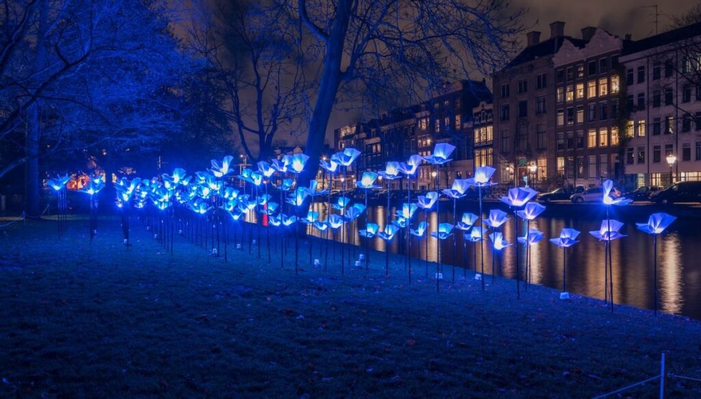 Stunning blue lights that sit on sticks along the shores of the canals in Amsterdam. These are the lights from the lights festival in winter which is one of the best night activities Amsterdam has to offer. 